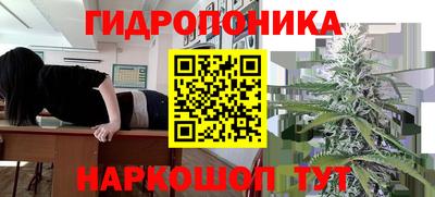 скорость Рязань