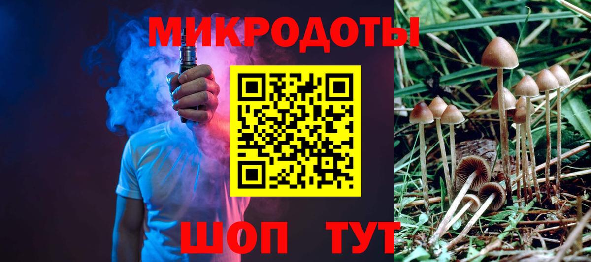 Псилоцибиновые грибы мицелий Богородицк