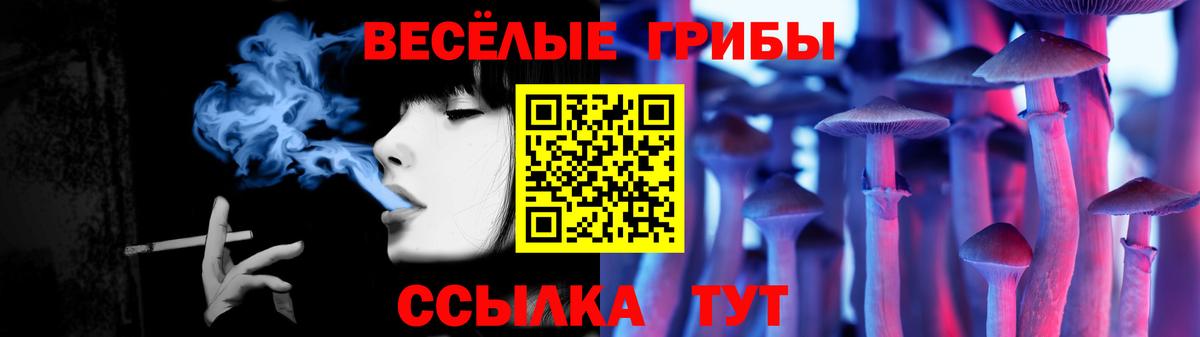 Галлюциногенные грибы Psilocybine cubensis  Вход с VPN  Богородицк 